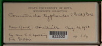 Image Associated With the Occurence